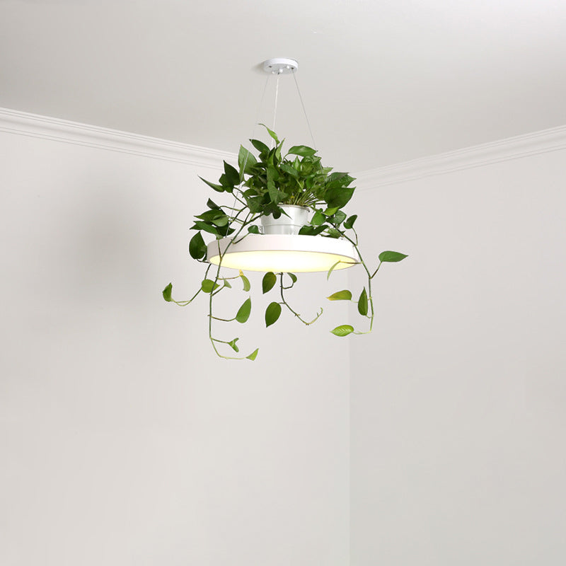 Hanging Acrylic LED Pendant Light with Top Plant Pot in Black/Grey/White