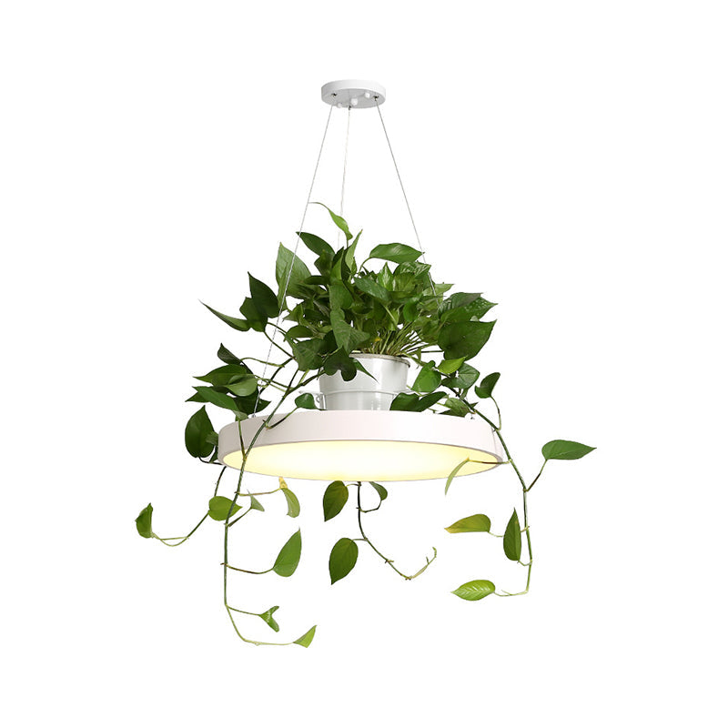 Hanging Acrylic LED Pendant Light with Top Plant Pot in Black/Grey/White