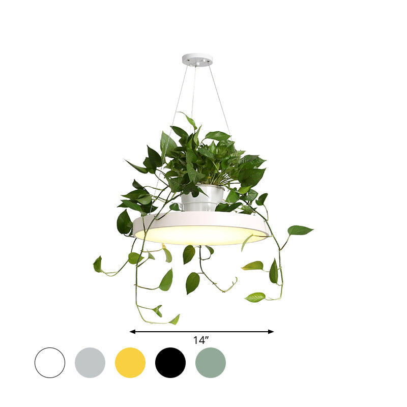 Hanging Acrylic LED Pendant Light with Top Plant Pot in Black/Grey/White