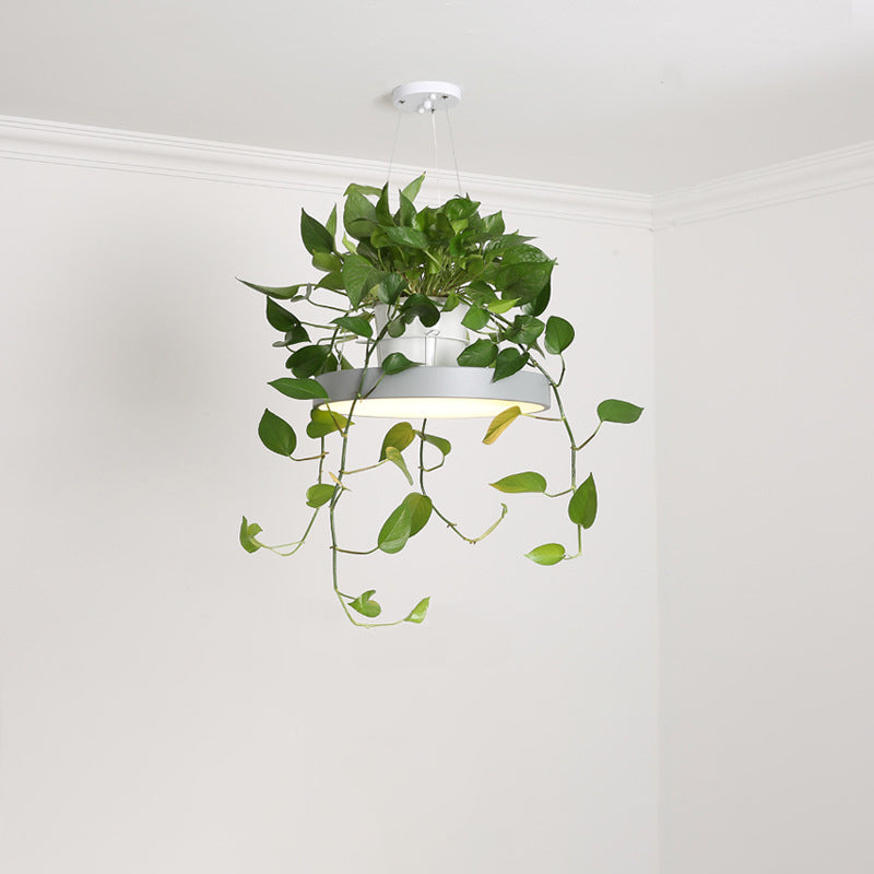 Hanging Acrylic LED Pendant Light with Top Plant Pot in Black/Grey/White