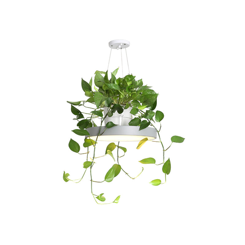 Hanging Acrylic LED Pendant Light with Top Plant Pot in Black/Grey/White