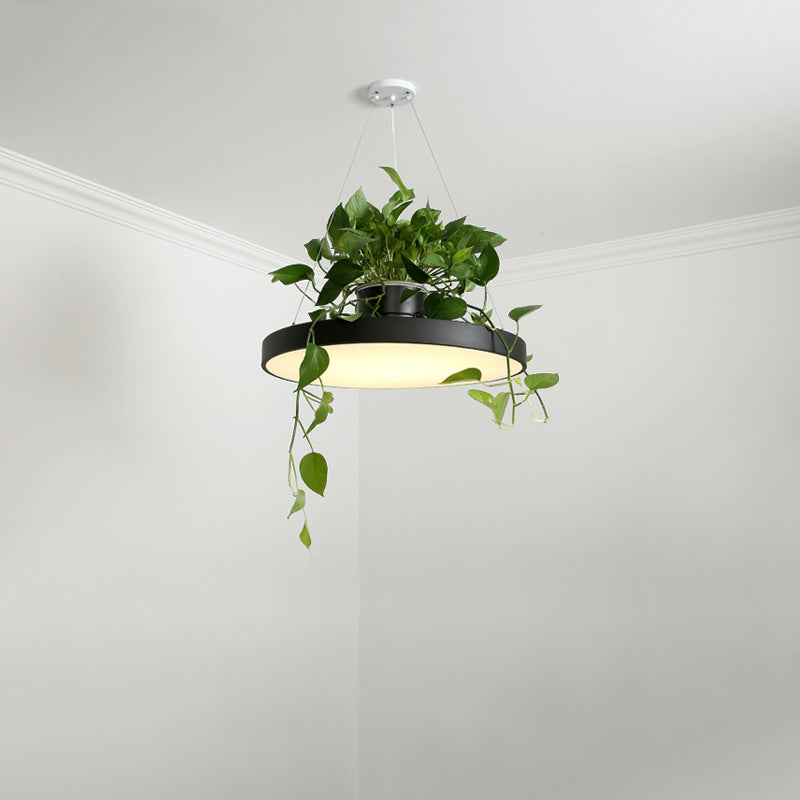 Hanging Acrylic LED Pendant Light with Top Plant Pot in Black/Grey/White