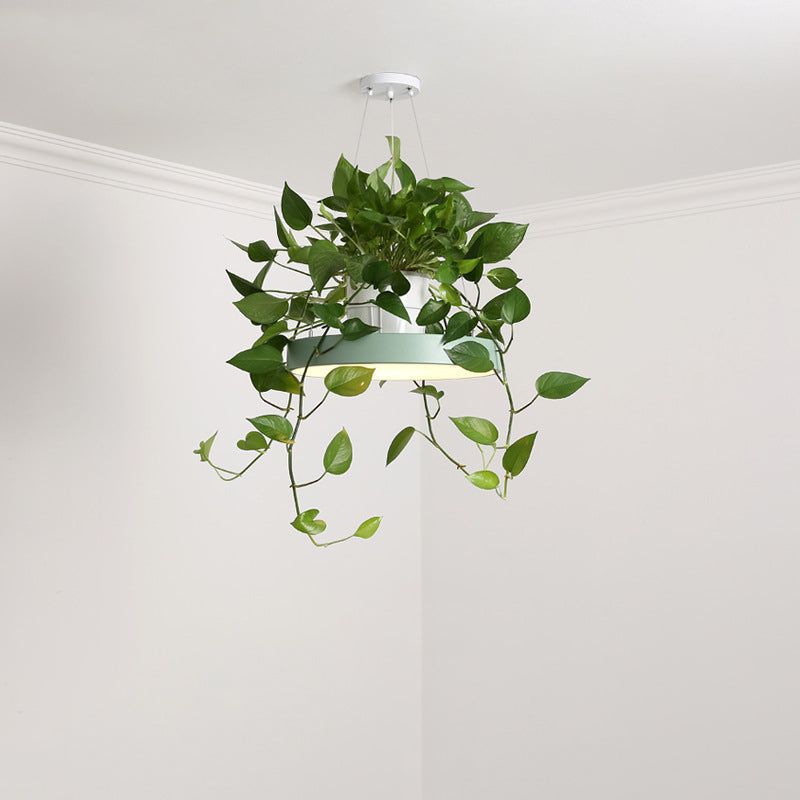 Hanging Acrylic LED Pendant Light with Top Plant Pot in Black/Grey/White