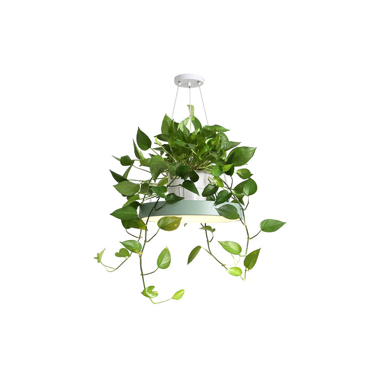 Hanging Acrylic LED Pendant Light with Top Plant Pot in Black/Grey/White