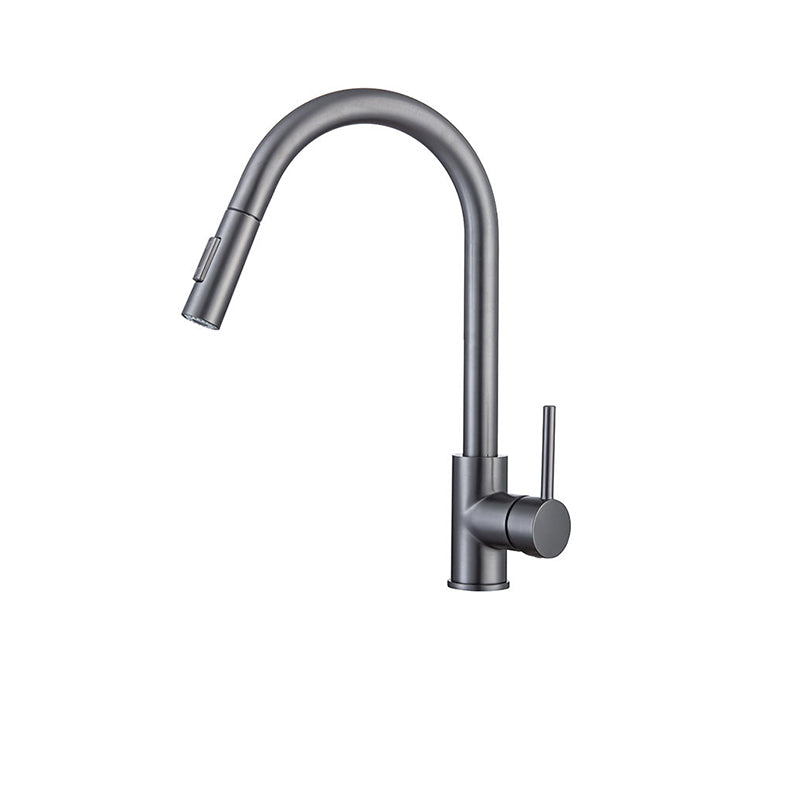 Gooseneck Kitchen Sink Faucet Swivel Spout with Pull down Sprayer Clearhalo 'Home Improvement' 'home_improvement' 'home_improvement_kitchen_faucets' 'Kitchen Faucets' 'Kitchen Remodel & Kitchen Fixtures' 'Kitchen Sinks & Faucet Components' 'kitchen_faucets' 6872428