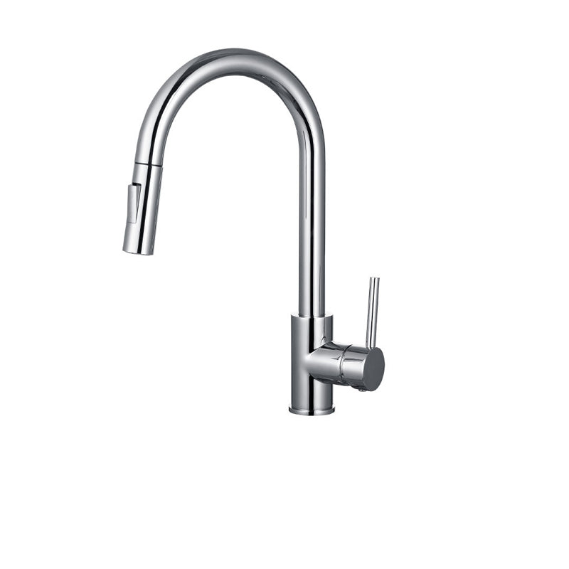 Taavita Gooseneck Kitchen Sink Faucet with Pull Down Sprayer and Swivel Spout