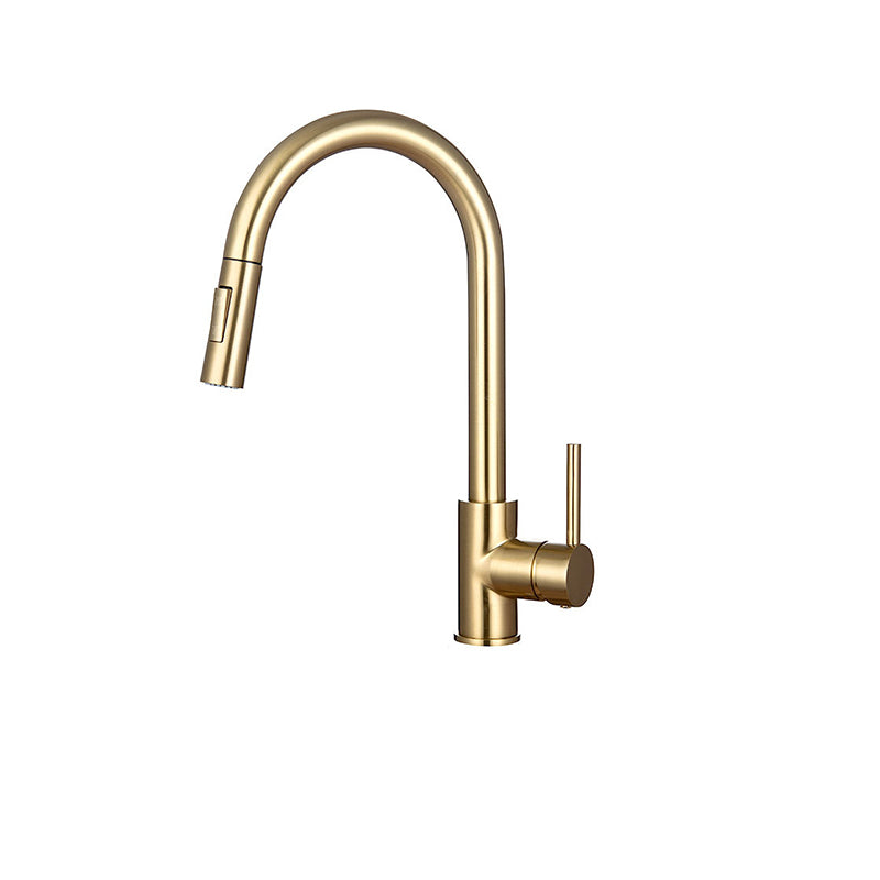 Gooseneck Kitchen Sink Faucet Swivel Spout with Pull down Sprayer Clearhalo 'Home Improvement' 'home_improvement' 'home_improvement_kitchen_faucets' 'Kitchen Faucets' 'Kitchen Remodel & Kitchen Fixtures' 'Kitchen Sinks & Faucet Components' 'kitchen_faucets' 1200x1200_c86a62b1-f179-4d52-bd9d-69bc80418d70