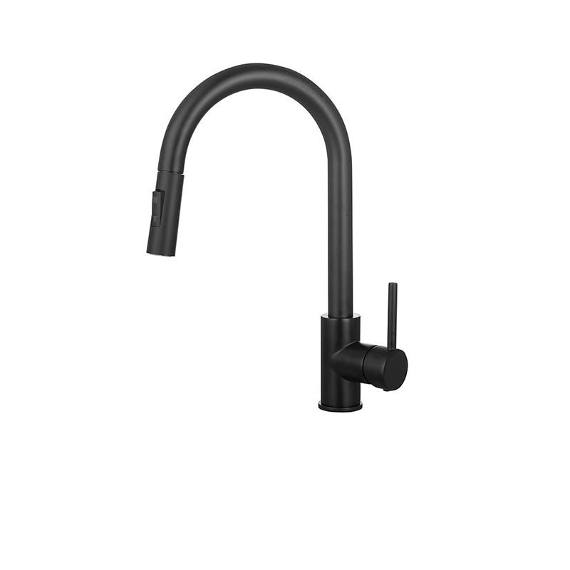 Gooseneck Kitchen Sink Faucet Swivel Spout with Pull down Sprayer Clearhalo 'Home Improvement' 'home_improvement' 'home_improvement_kitchen_faucets' 'Kitchen Faucets' 'Kitchen Remodel & Kitchen Fixtures' 'Kitchen Sinks & Faucet Components' 'kitchen_faucets' 6872438