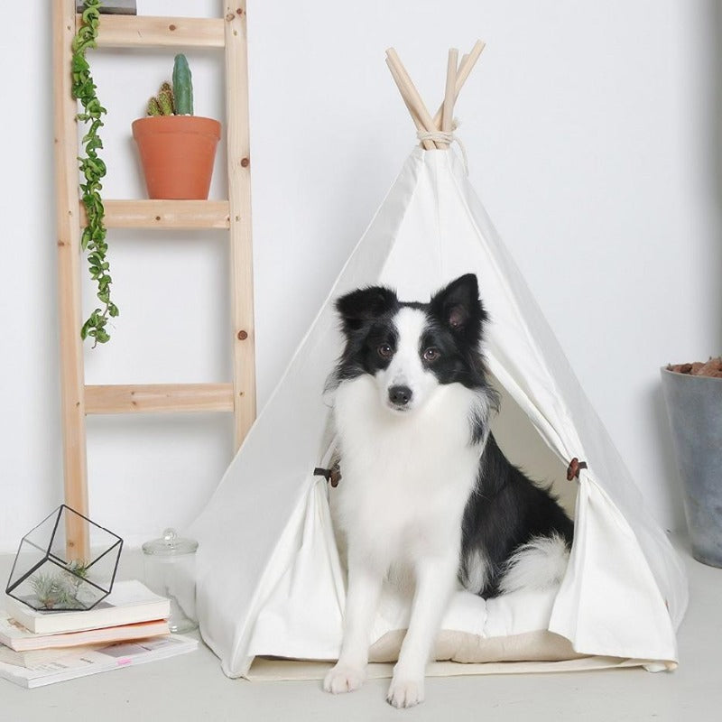 Modern Boho Dog Teepee with Removable Plush Dog Bed Cushion