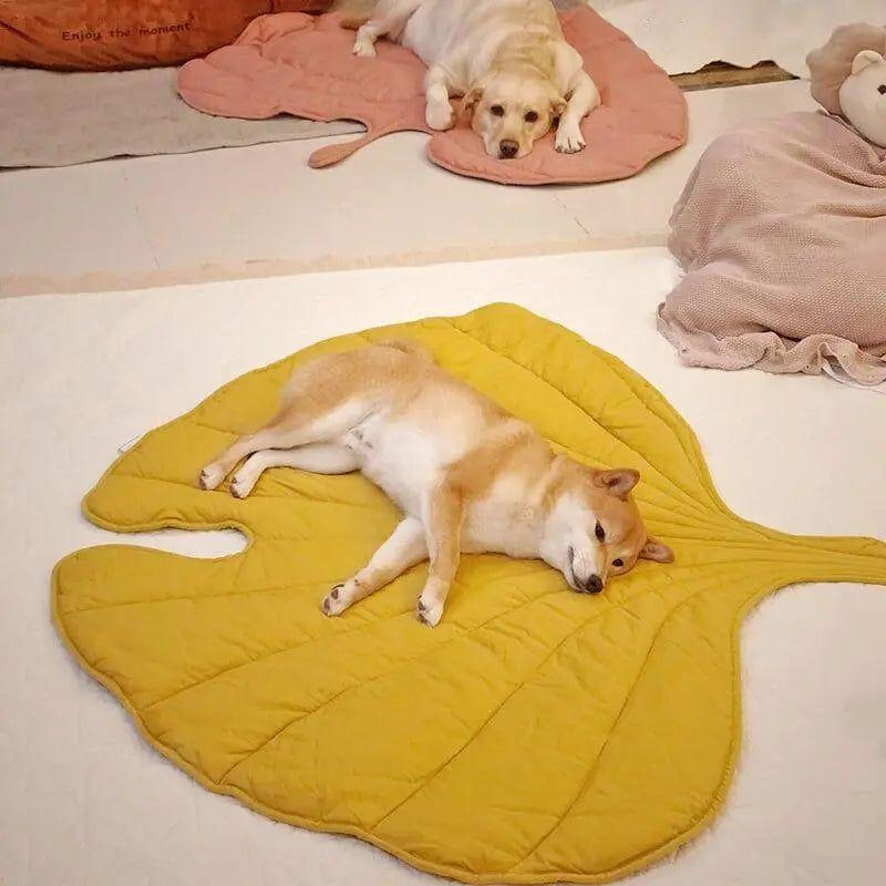 Taavita - Dog Blanket in Leaf Shape