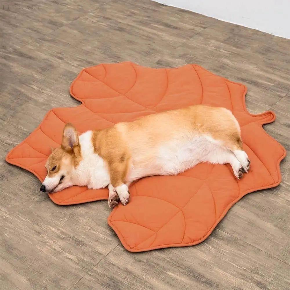 Taavita - Dog Blanket in Leaf Shape