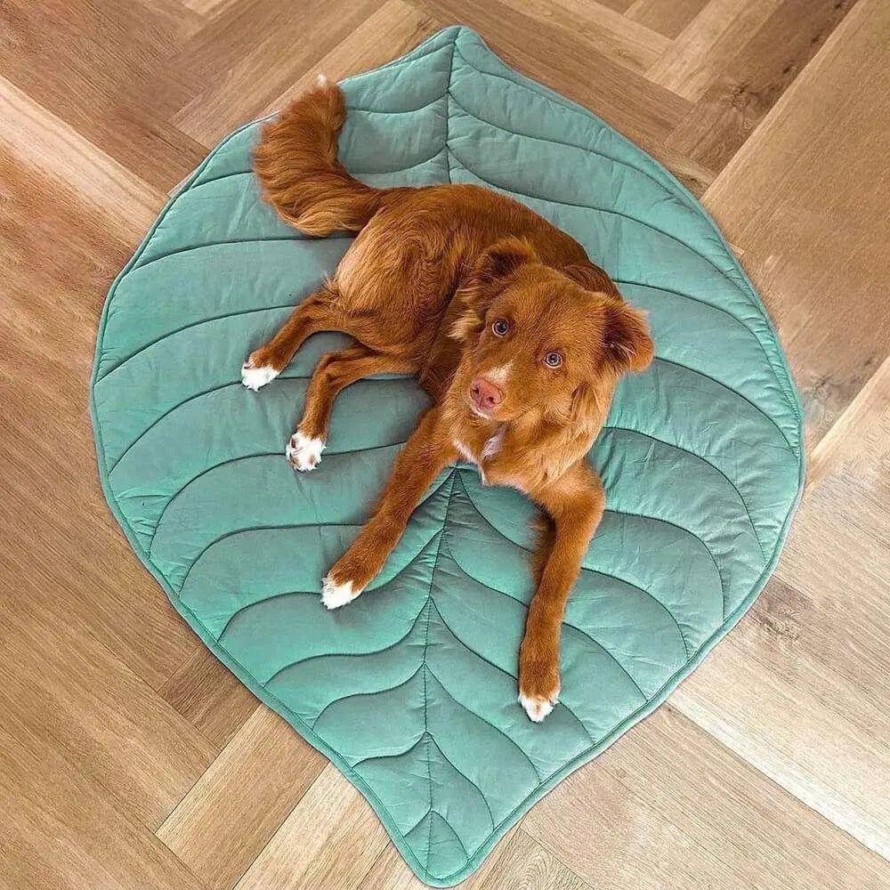 Taavita - Dog Blanket in Leaf Shape