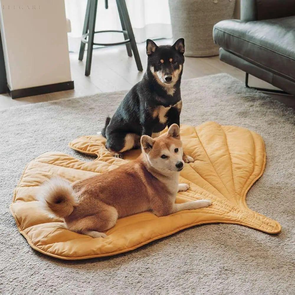 Taavita - Dog Blanket in Leaf Shape