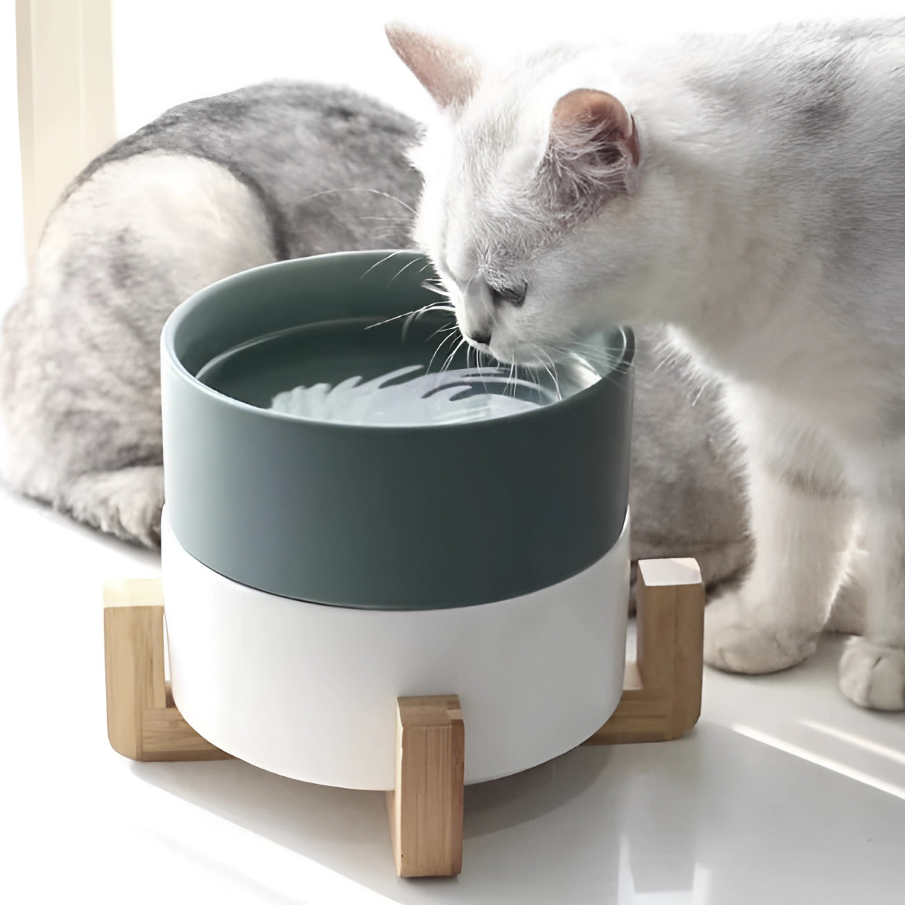 Adjustable multi-level bamboo pet feeder with colorful dishes designed for small to medium-sized cats.