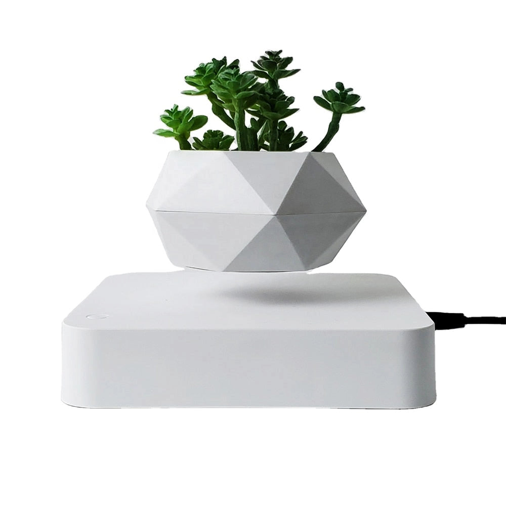 Magnetic floating bonsai with white base, featuring a levitating plant pot for modern decor, suitable for UK plug.