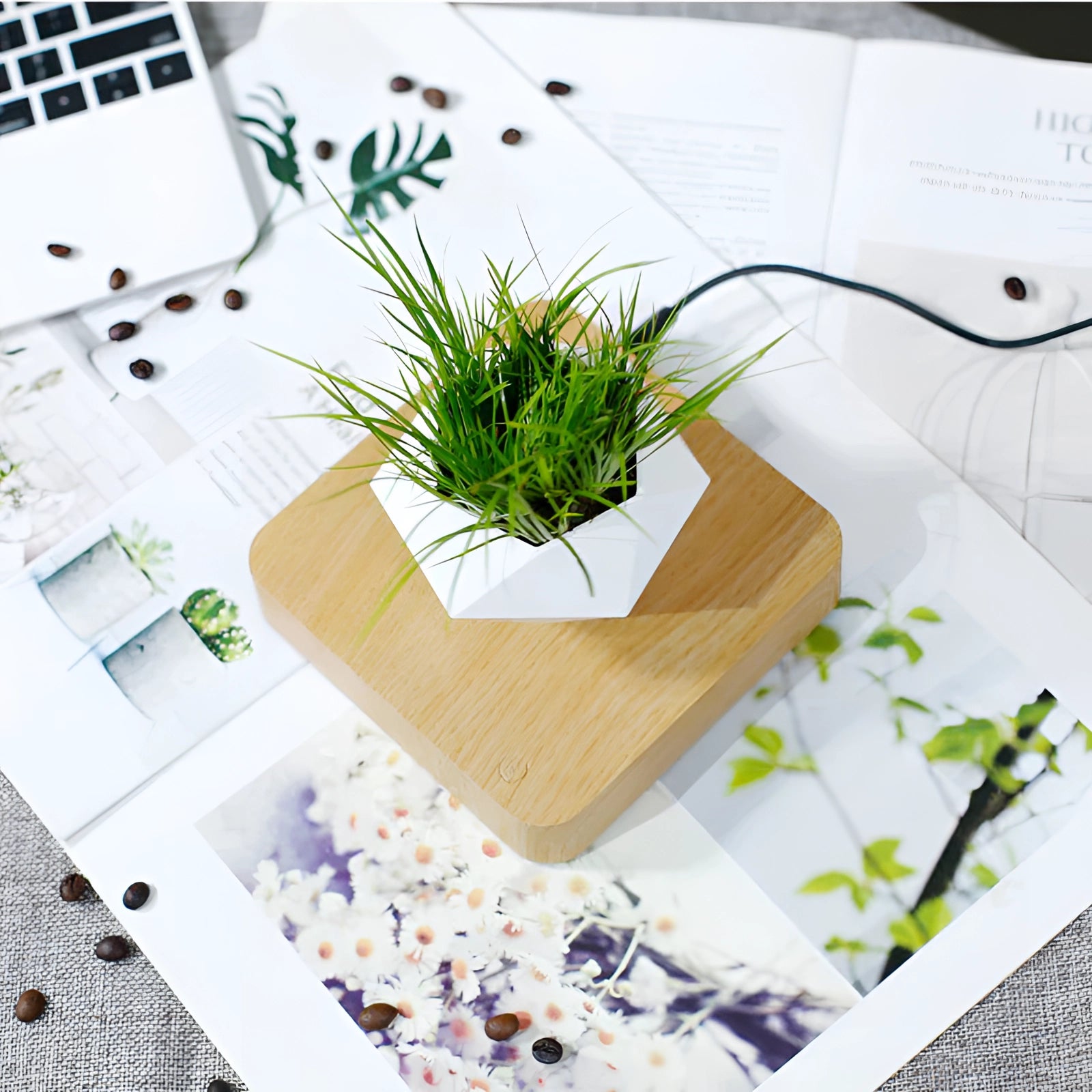 Magnetic floating bonsai plant in a modern rectangular white flowerpot on a wooden table, showcasing its unique levitating design as a contemporary home decor piece.