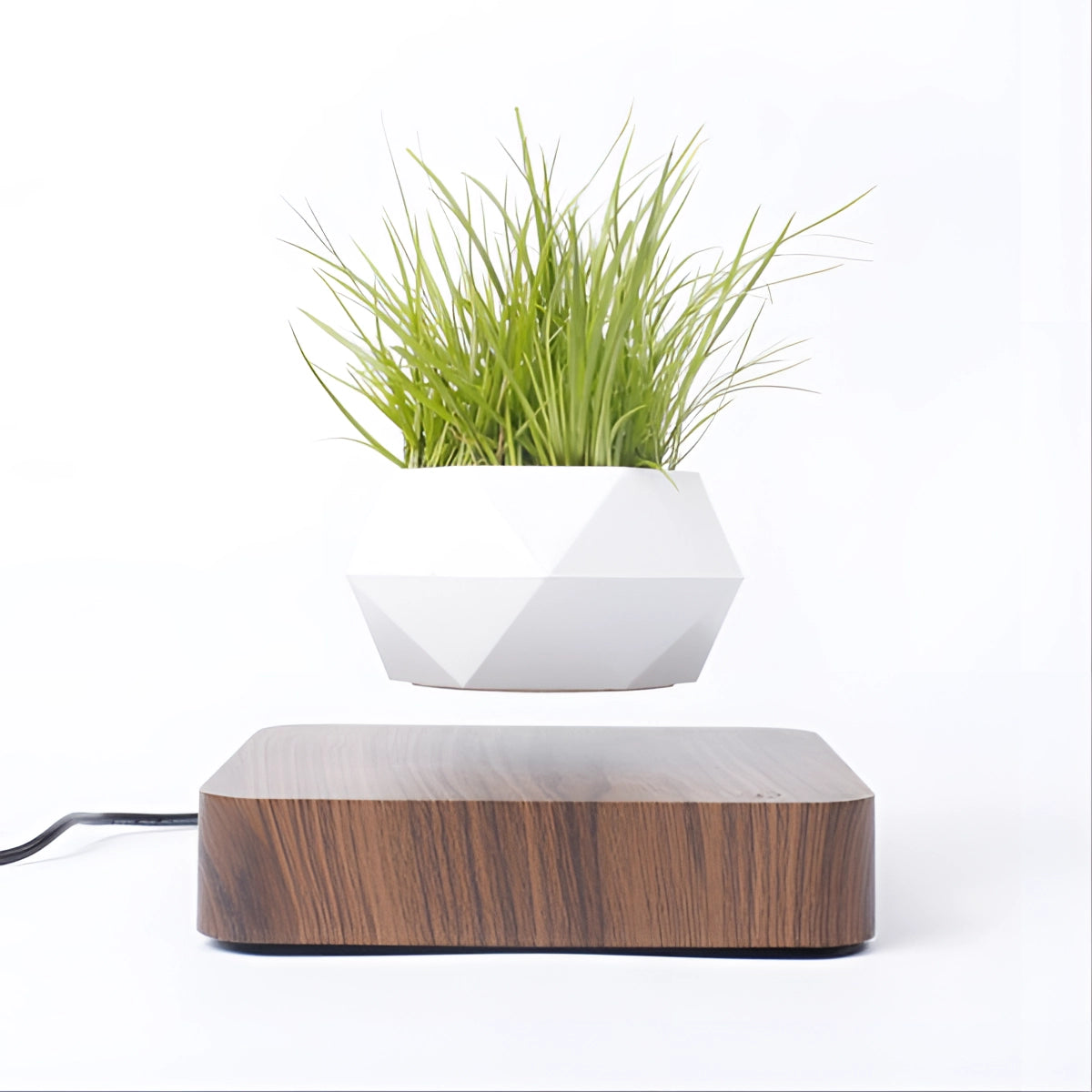 Magnetic Floating Bonsai with a walnut base and UK plug, featuring a modern levitating plant pot decor. The bonsai is suspended above a rectangular wooden base, showcasing a unique and contemporary design.