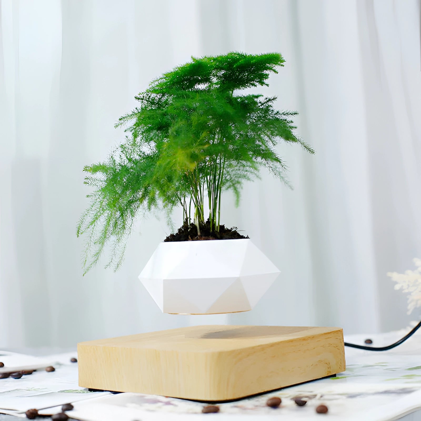 Magnetic Floating Bonsai in a modern levitating plant pot, featuring a small evergreen plant with delicate branches and twigs, ideal for contemporary interior design.