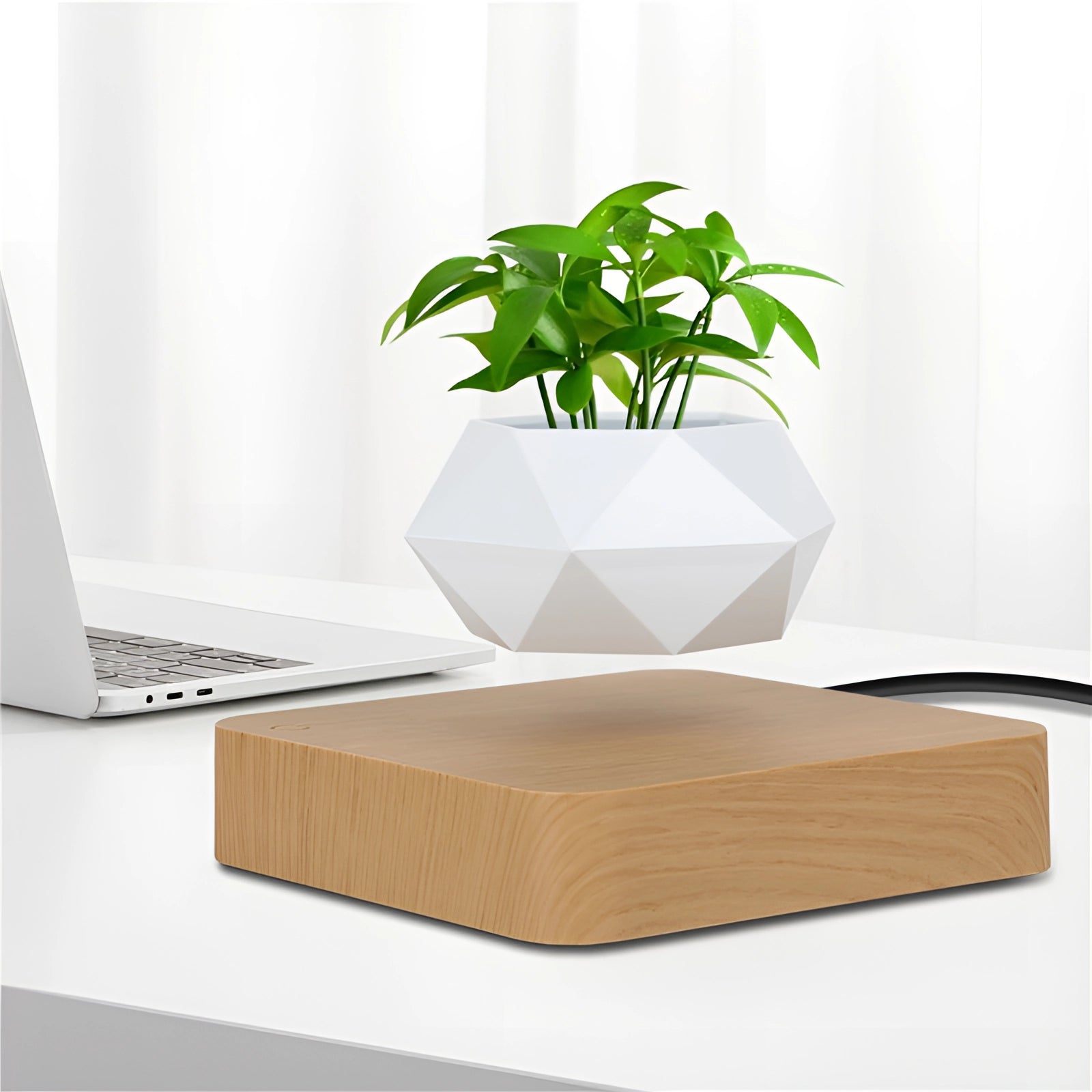 Magnetic Floating Bonsai in a modern levitating plant pot, featured on a wooden surface next to a laptop. The bonsai appears to be levitating above the pot, showcasing its unique and innovative design for home decor.