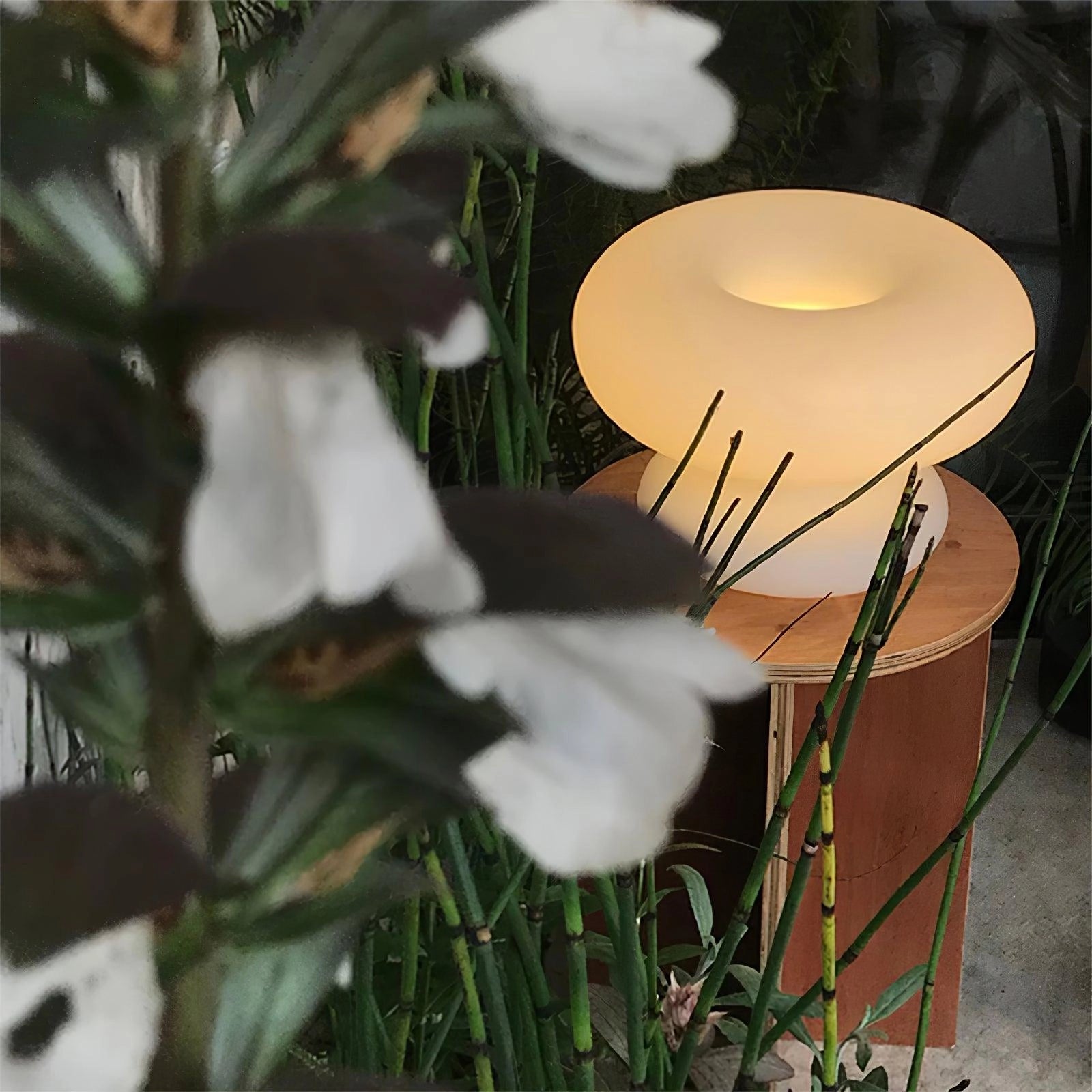 Modern Mushroom Table Lamp with minimalist design, placed on a wooden surface next to a small potted plant with green leaves and branches.