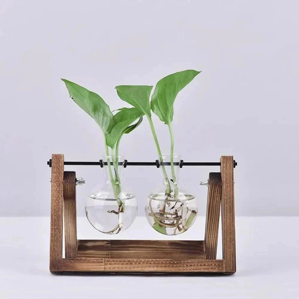 Rustic wooden vase holder featuring a minimalist triangular stand with a clear glass vase, elegantly displaying a small houseplant with visible twigs and liquid.