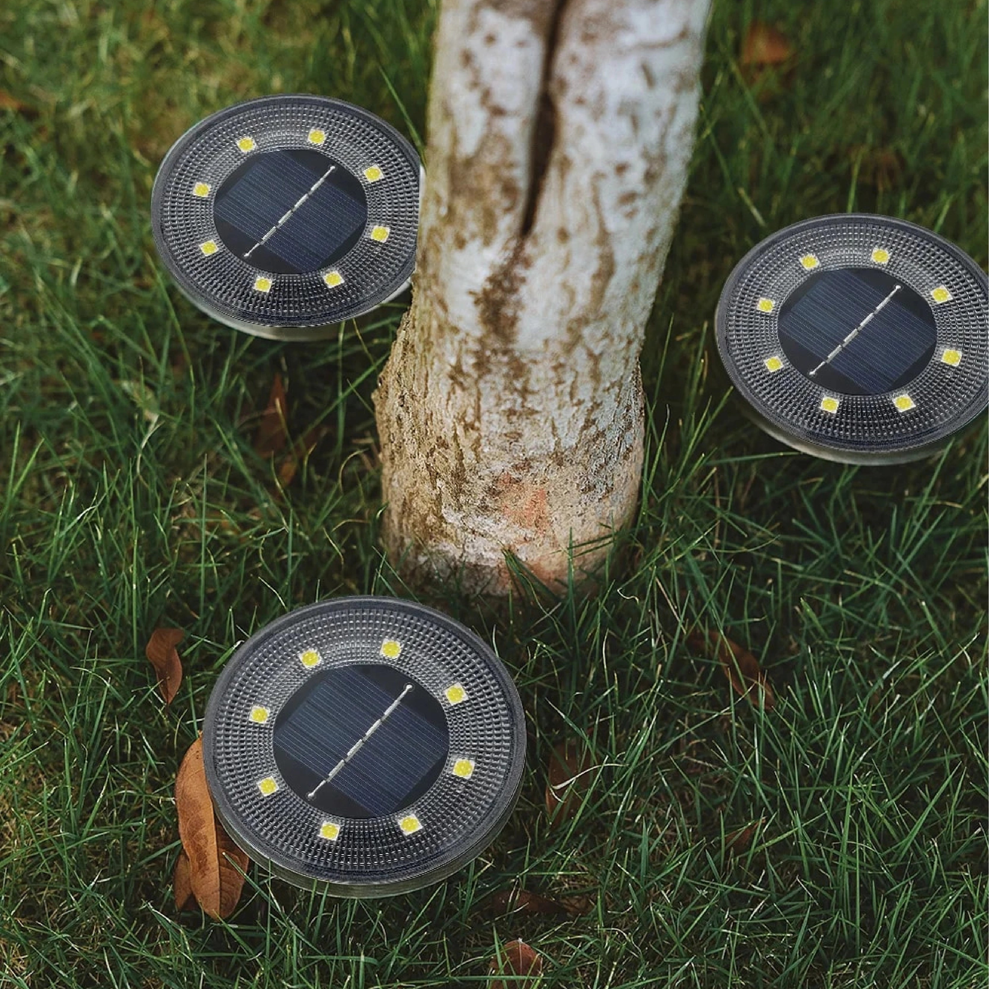 Solar LED pathway lights illuminating a garden with grass and plants in the background.