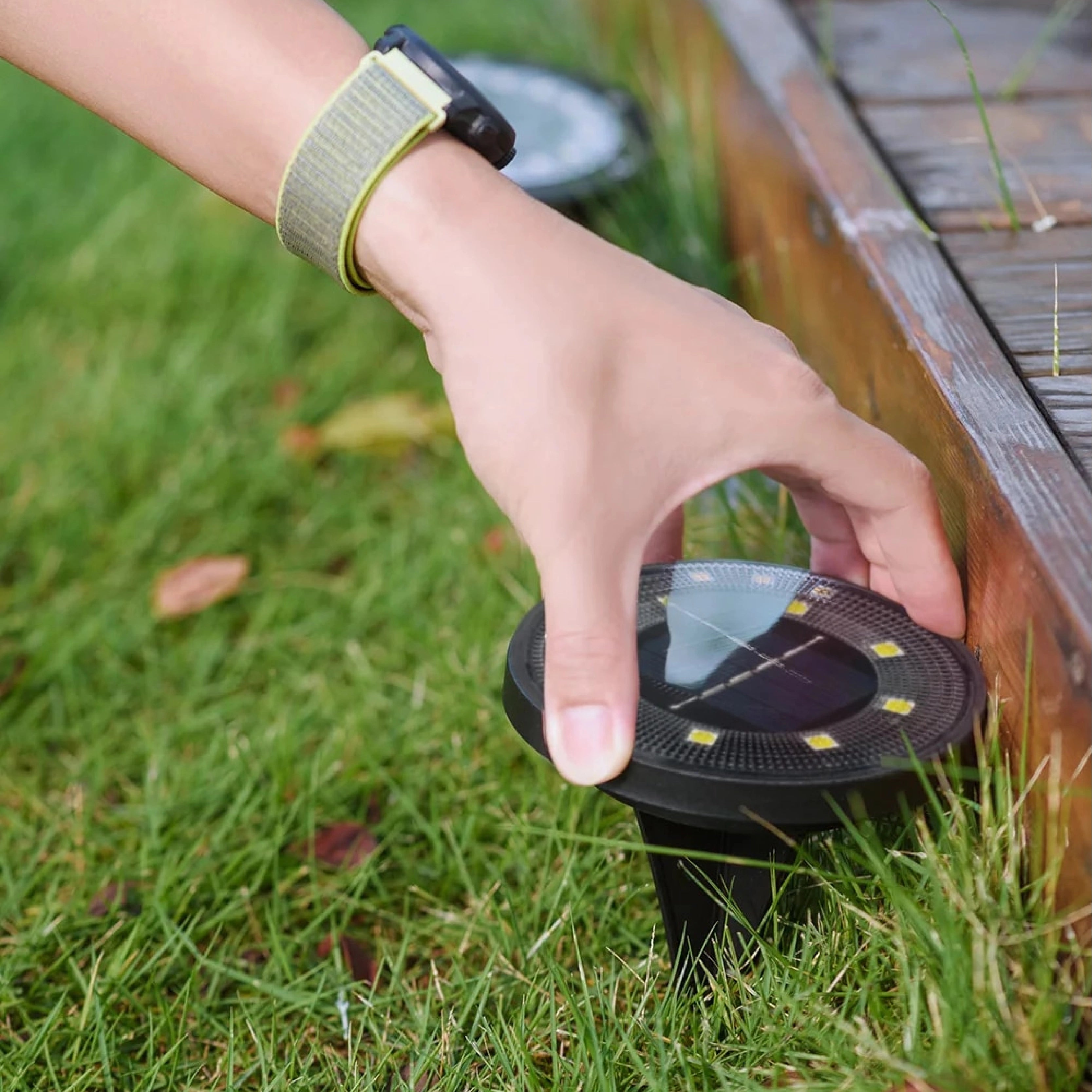 Solar LED Pathway Lights illuminating a garden with lush green grass and plants, showcasing their waterproof design and energy-efficient glow.