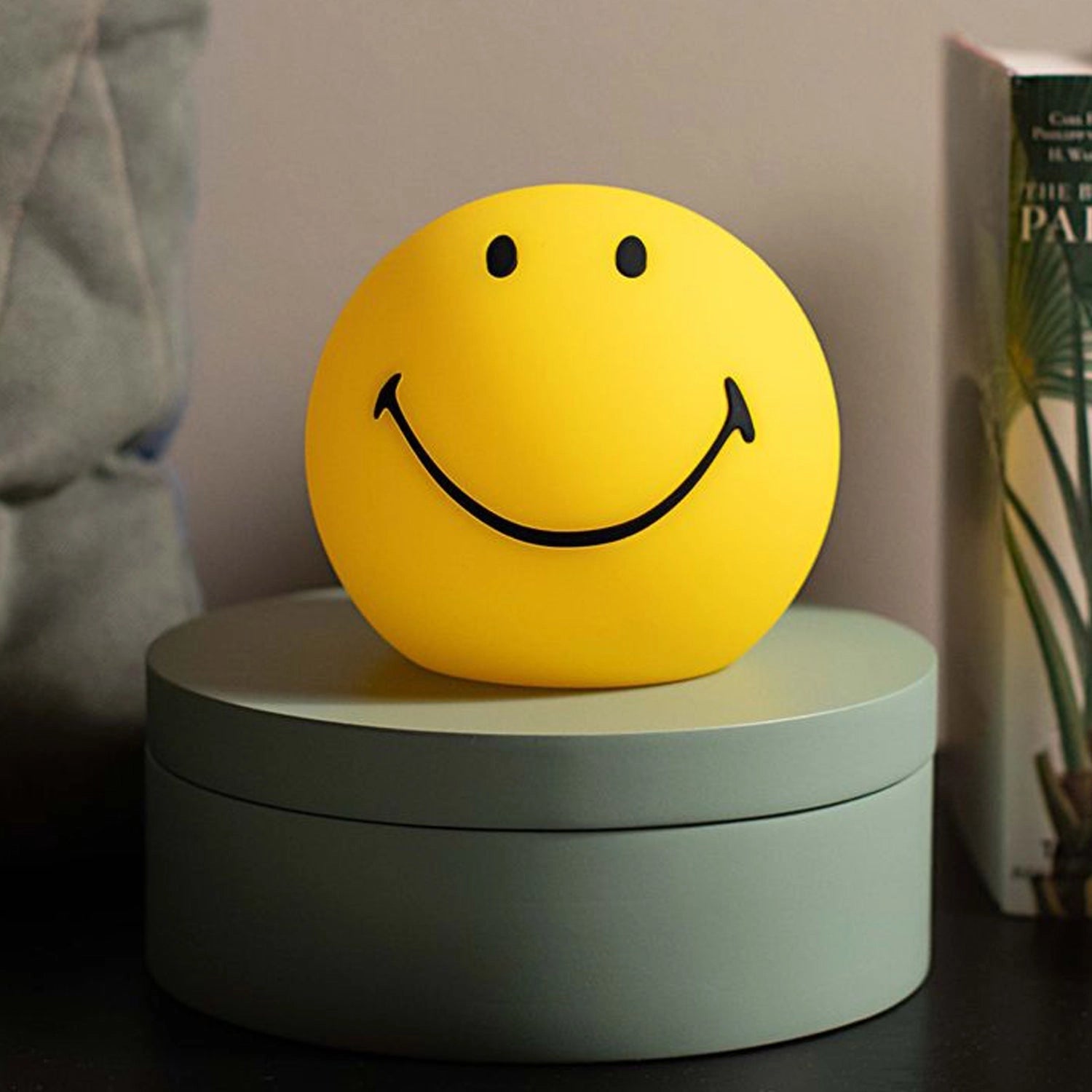 
A yellow smiley face stress ball with a cheerful expression, perfectly round, placed next to a small houseplant on a desk.