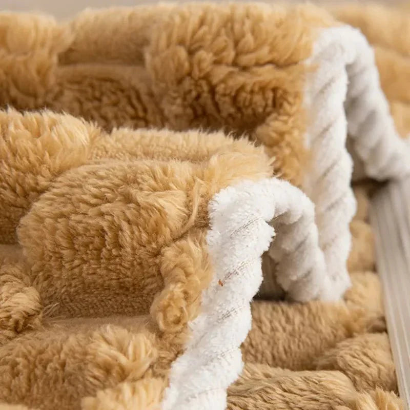 Thick Plush Blanket in Gentle Pastel Shades